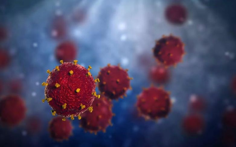 Response to Coronavirus Pandemic