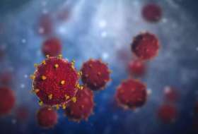 Response to Coronavirus Pandemic